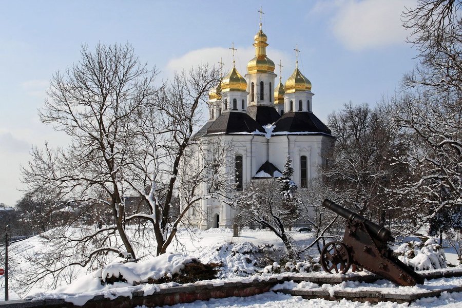 Новий рік 2017 під Києвом