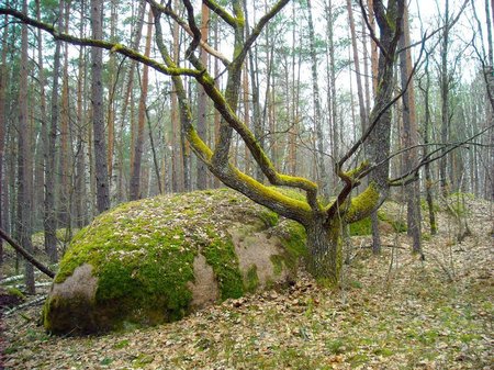 Таємниці Камінного села