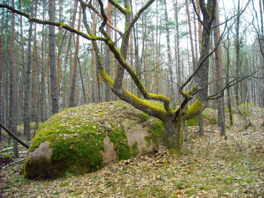 Таинственное Каменное село