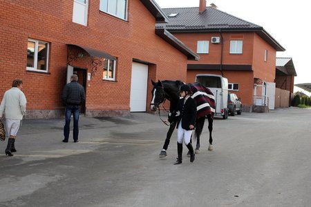 Жашковский конный завод 