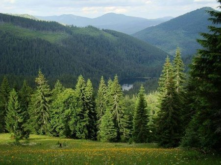 Фабрика художніх виробів у Переяславі