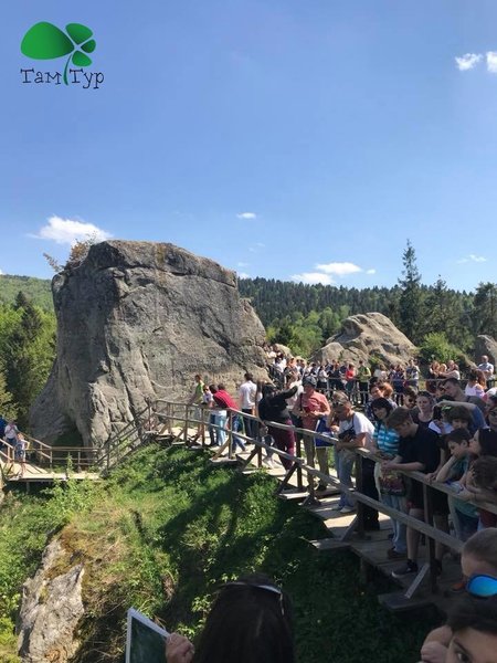 Сакура на Закарпатье и Словакия