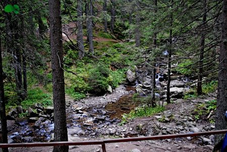 Відпочинок в Карпатах. Говерла.