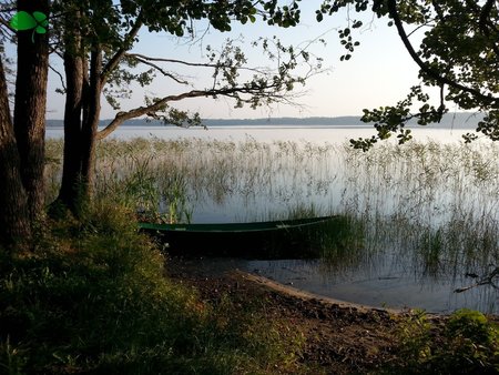 Шацькі озера. Поліське літо.