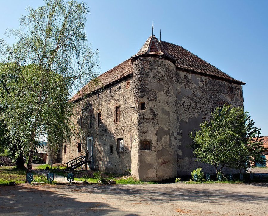 Берегове. Найсмачніший фестиваль в Закарпатті Св. Мартіна