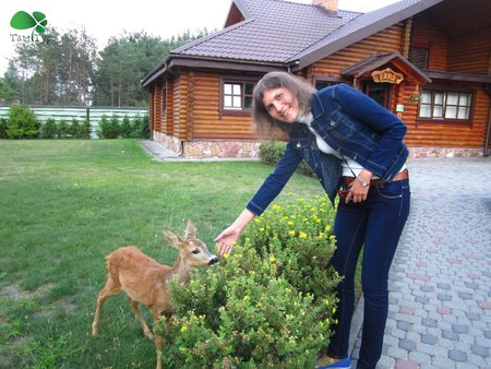 Шацькі озера. Поліське літо.