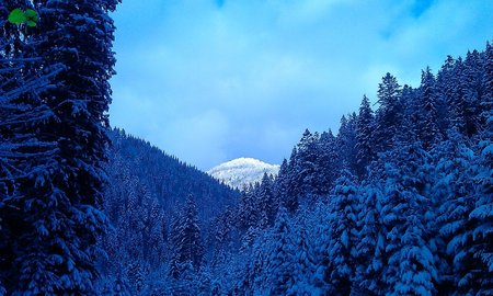 Старый Новый год 2018 (4 дня)