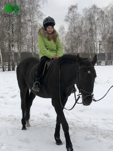 Сафарі по Київськи. Екскурсія в 