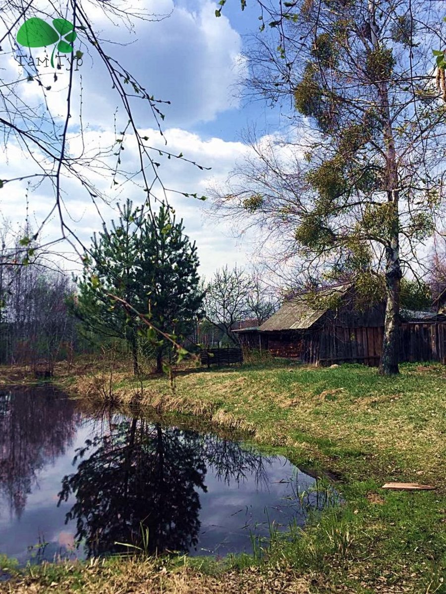 Тур в Міжріченський парк. Стежками дикої рисі