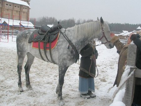 Урочисте відкриття резиденції Діда Мороза