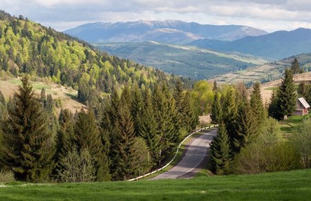 Долина Нарциссов. Виноградов и Хуст.