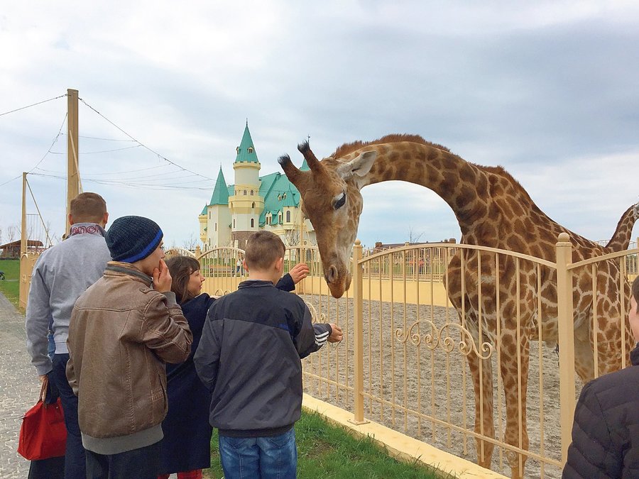 В гости в зоопарк 