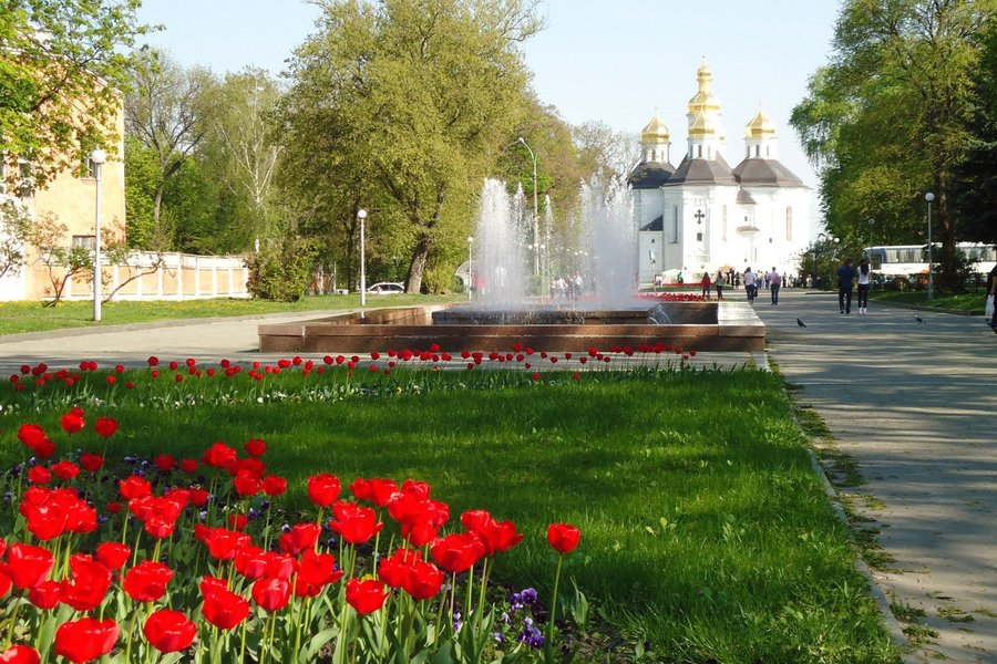 Чернігів стародавній з Василькова