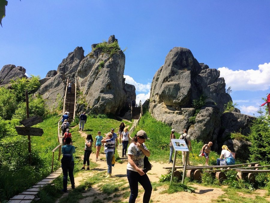 Сакура на Закарпатье и Словакия