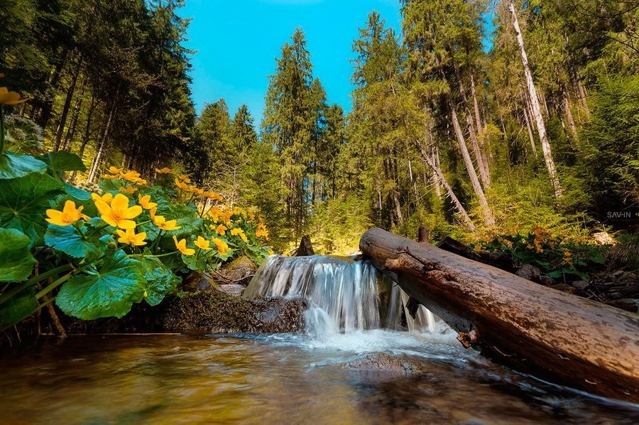 Великдень на Закарпатті. Синевирський водограй