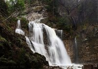 Куди податися туристу на Прикарпатті за новими враженнями, чудернацькими будинками і дивами природи