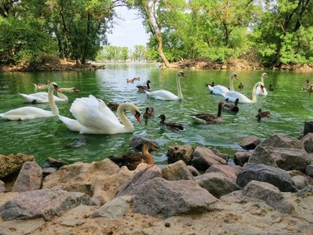 Асканія-Нова — одне з 7 чудес України