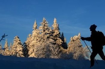 Зимовий відпочинок в Україні: ТОП-5 бюджетних місць