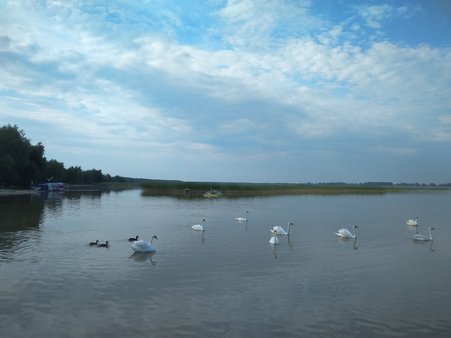 Шацькі озера. Поліське літо.