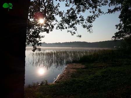 Шацькі озера. Поліське літо.