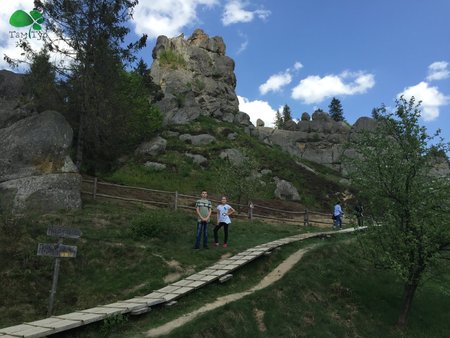 Сакура на Закарпатье и Словакия